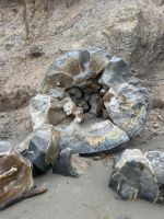 Überreste der Moeraki Boulders