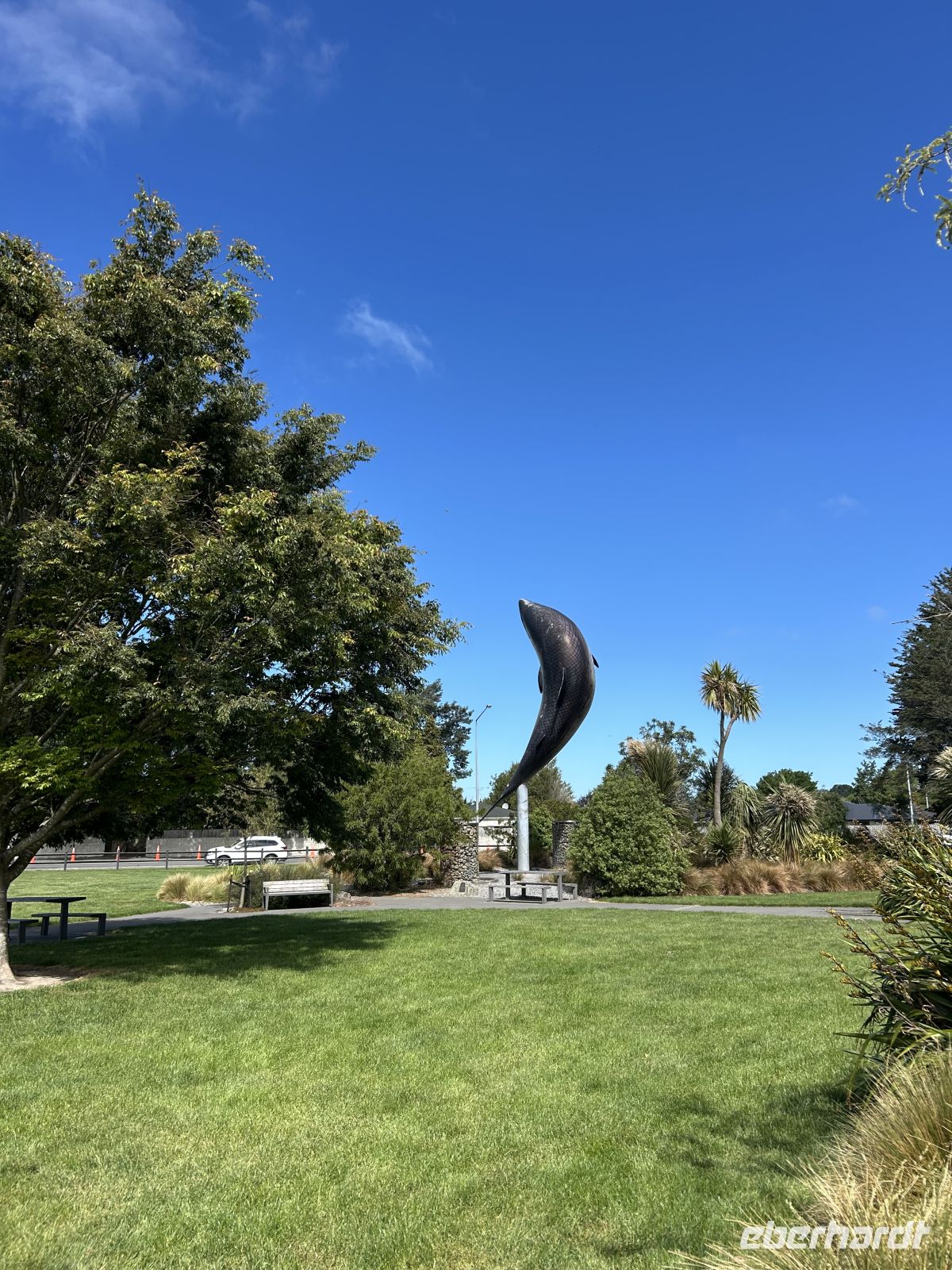 Rakaia's Iconic Salmon