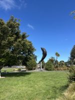 Rakaia's Iconic Salmon