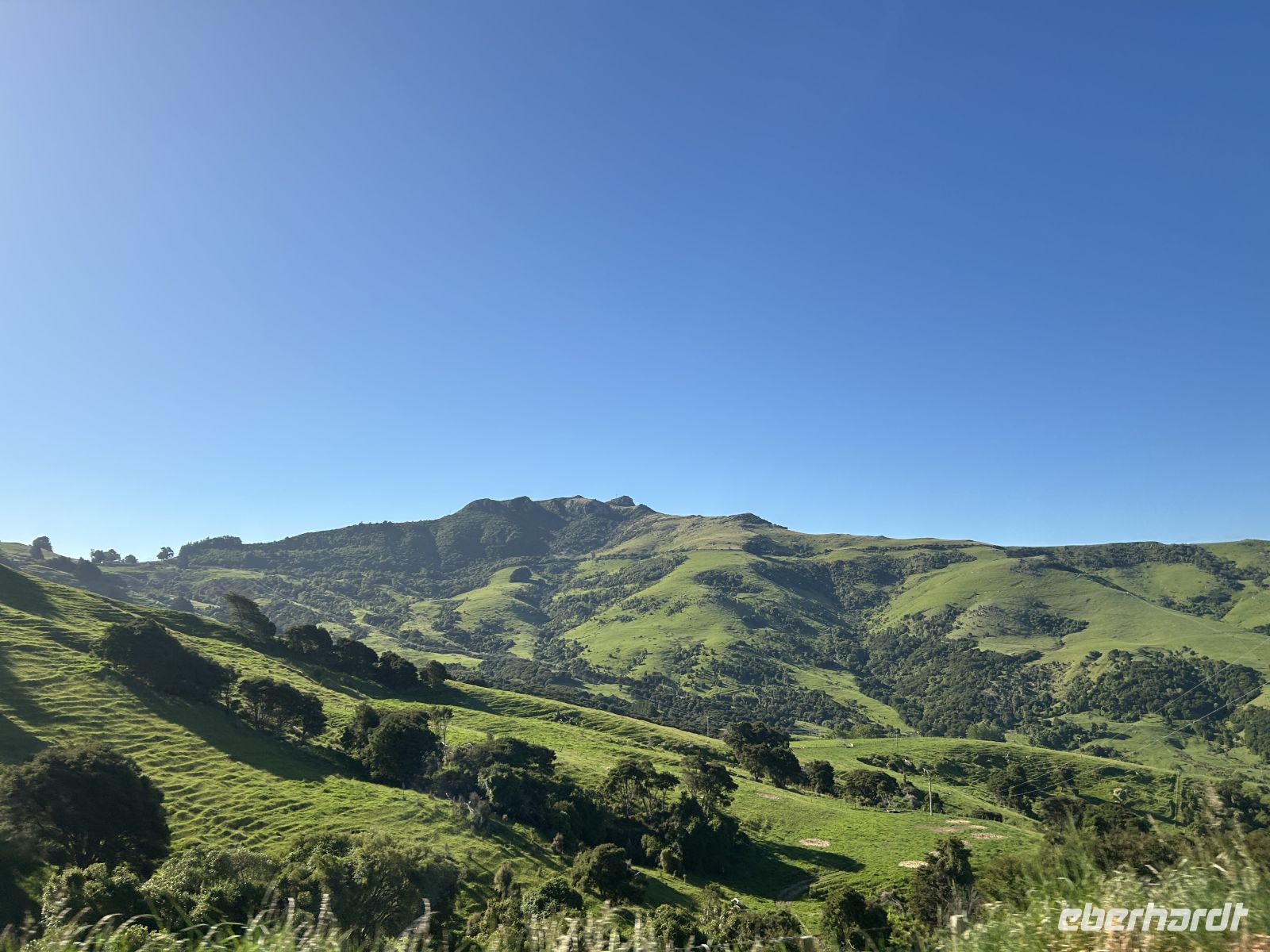 Akaroa Lookout