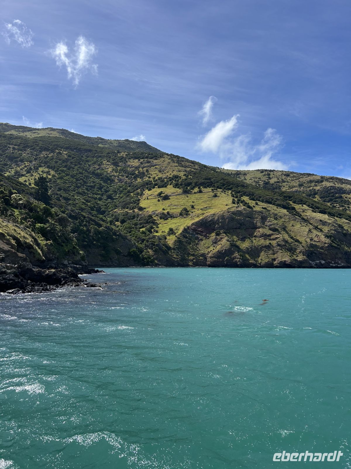 Glen Bay im Akaroa Harbour