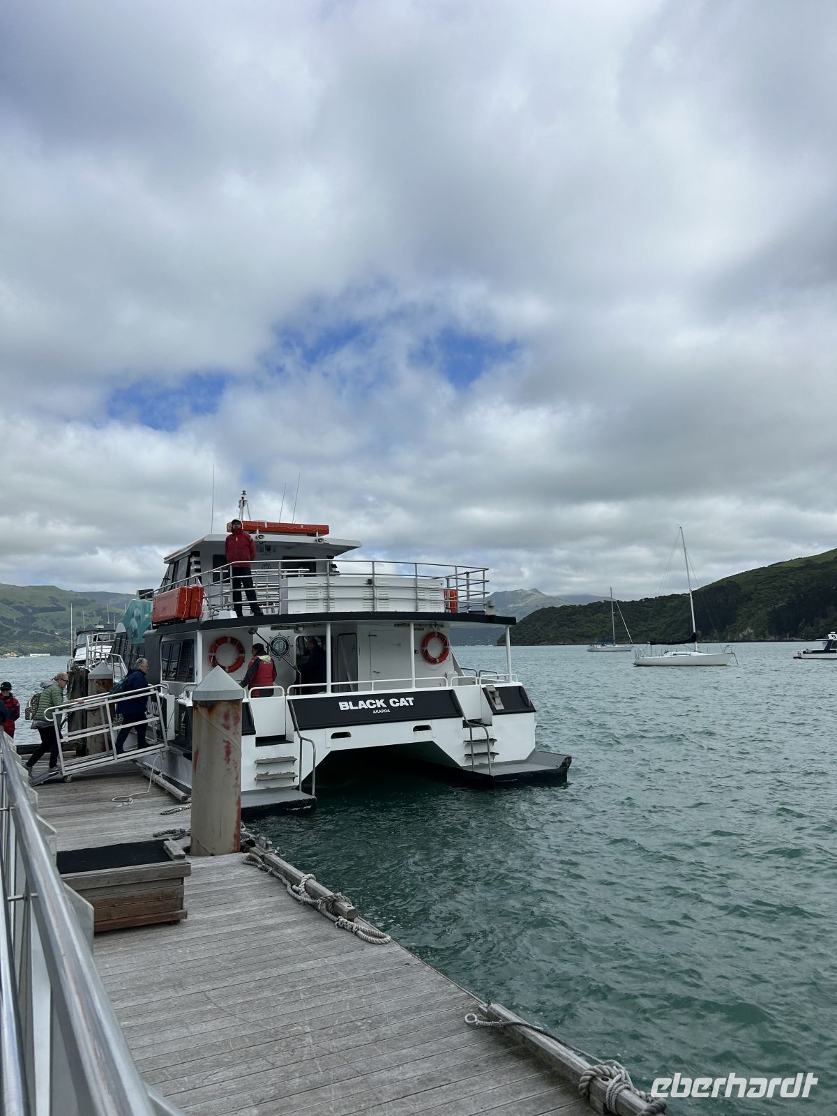 Delfinbeobachtung Akaroa