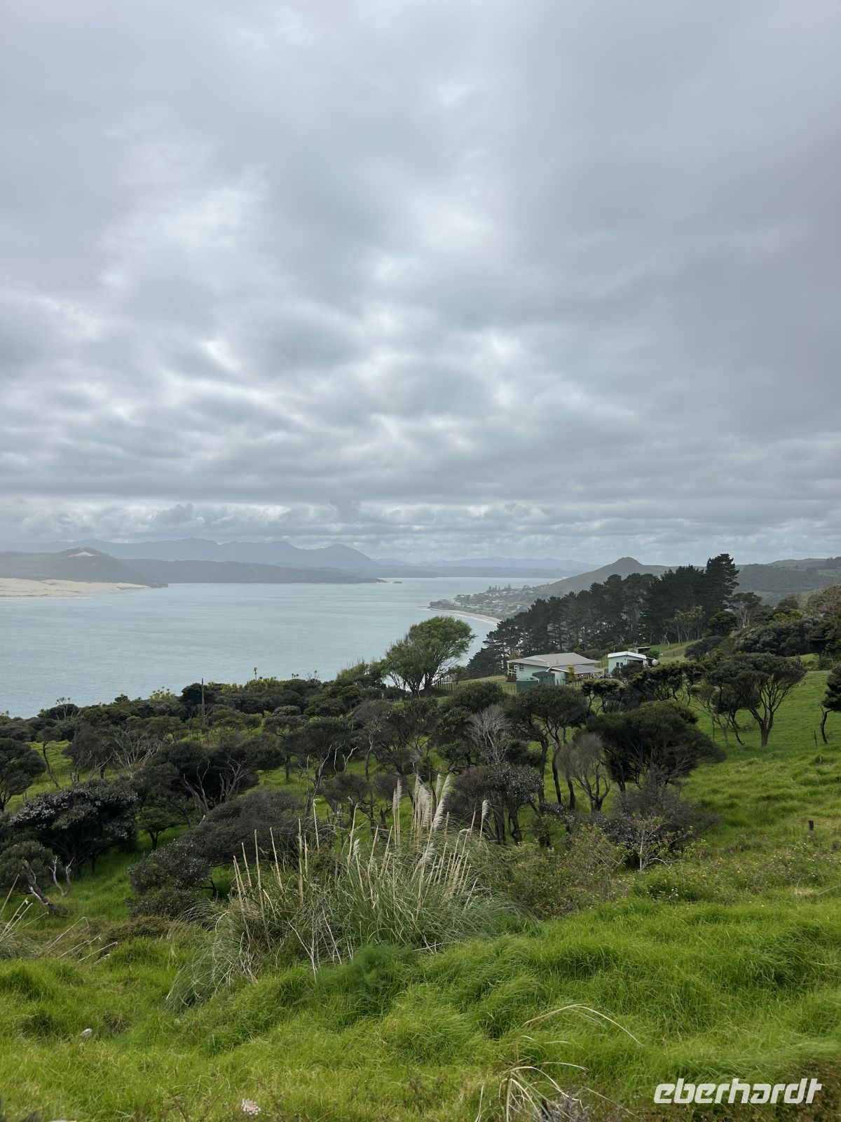 Hokianga Harbour