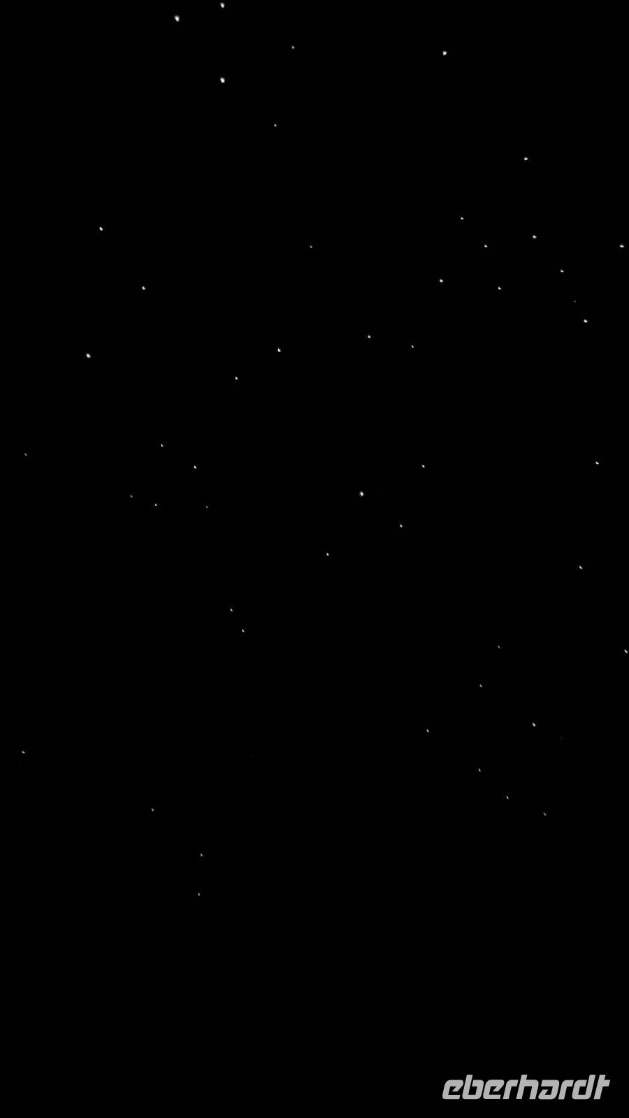 Glühwürmchen, Redwood Wald