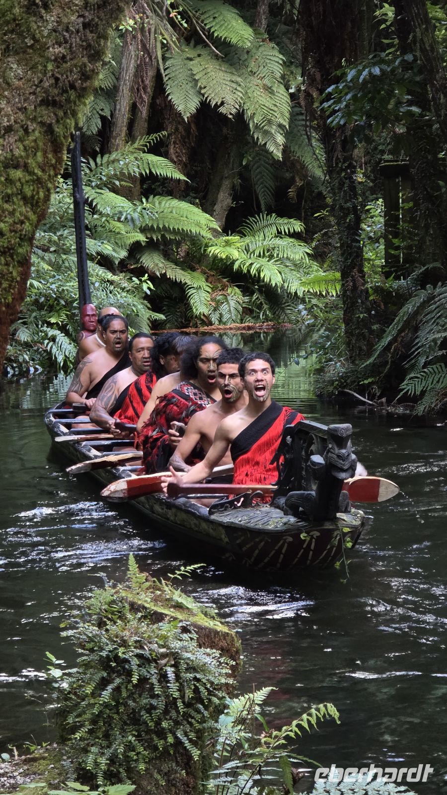 Maori Krieger im Waka Taua