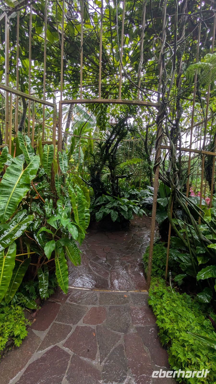 Botanischen Garten von Singapur