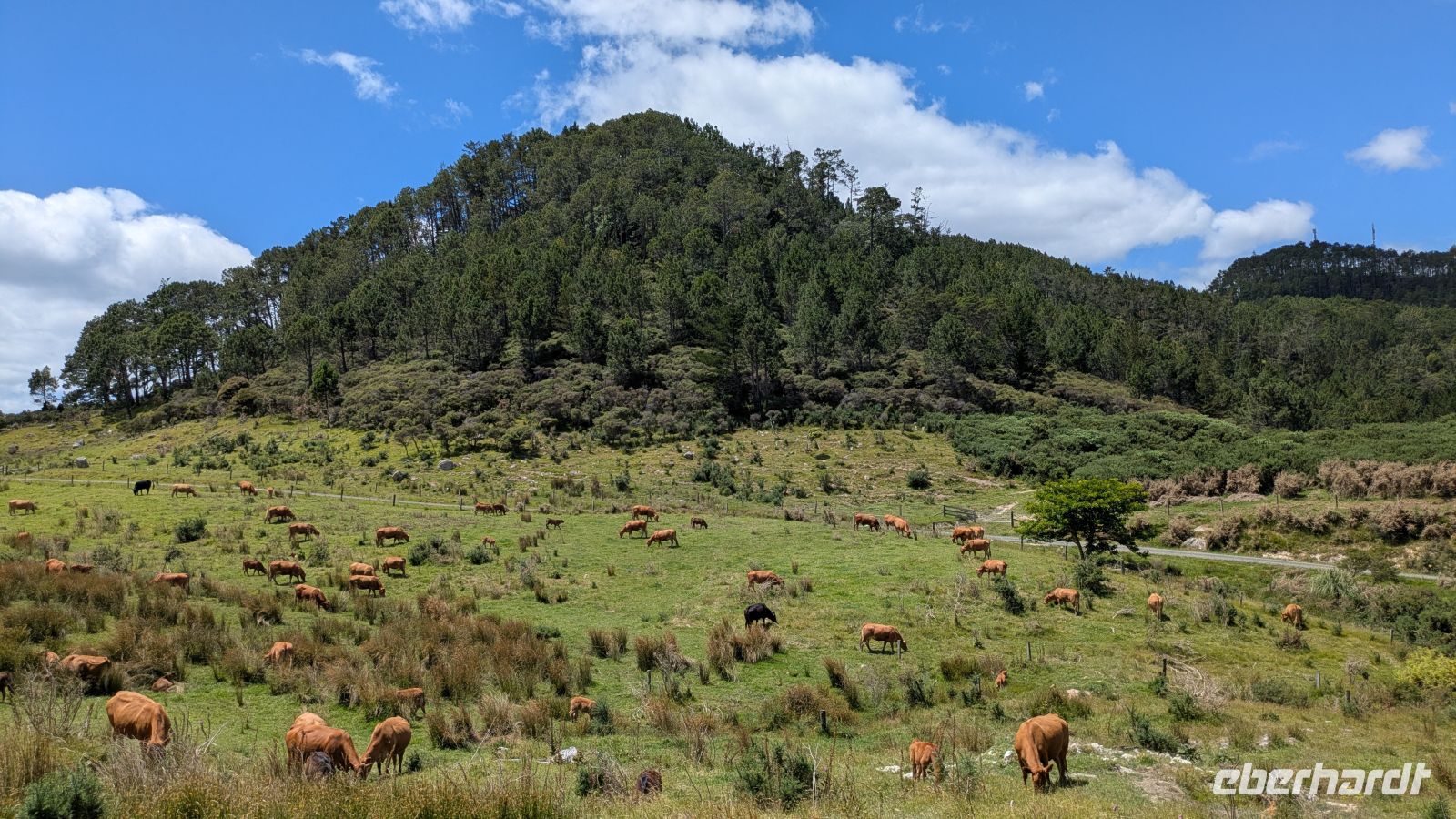 Landweg zur Cathedral Cove
