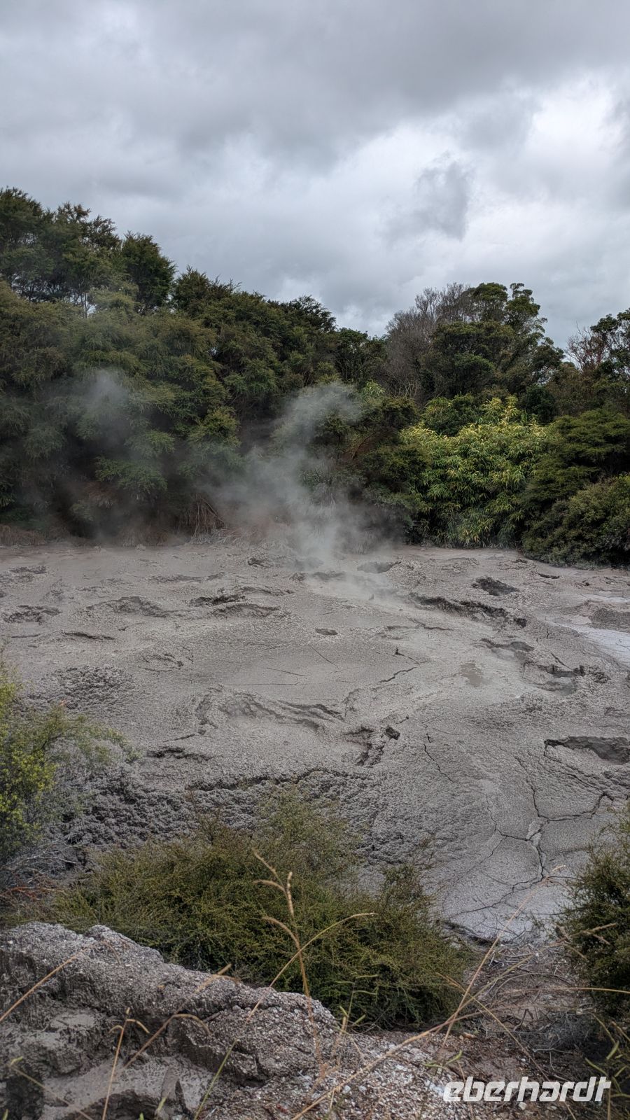 Schlammpool, Te Puia