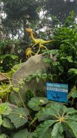 Cloud Forest - Jurassic World The Experience