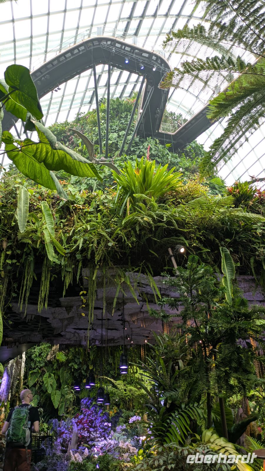 Cloud Forest - Jurassic World The Experience