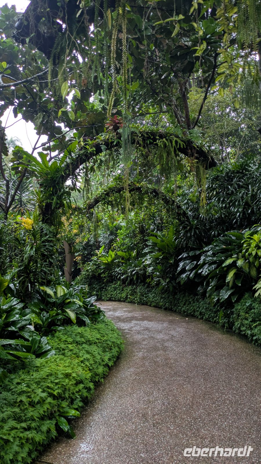 Botanischen Garten von Singapur