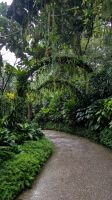 Botanischen Garten von Singapur