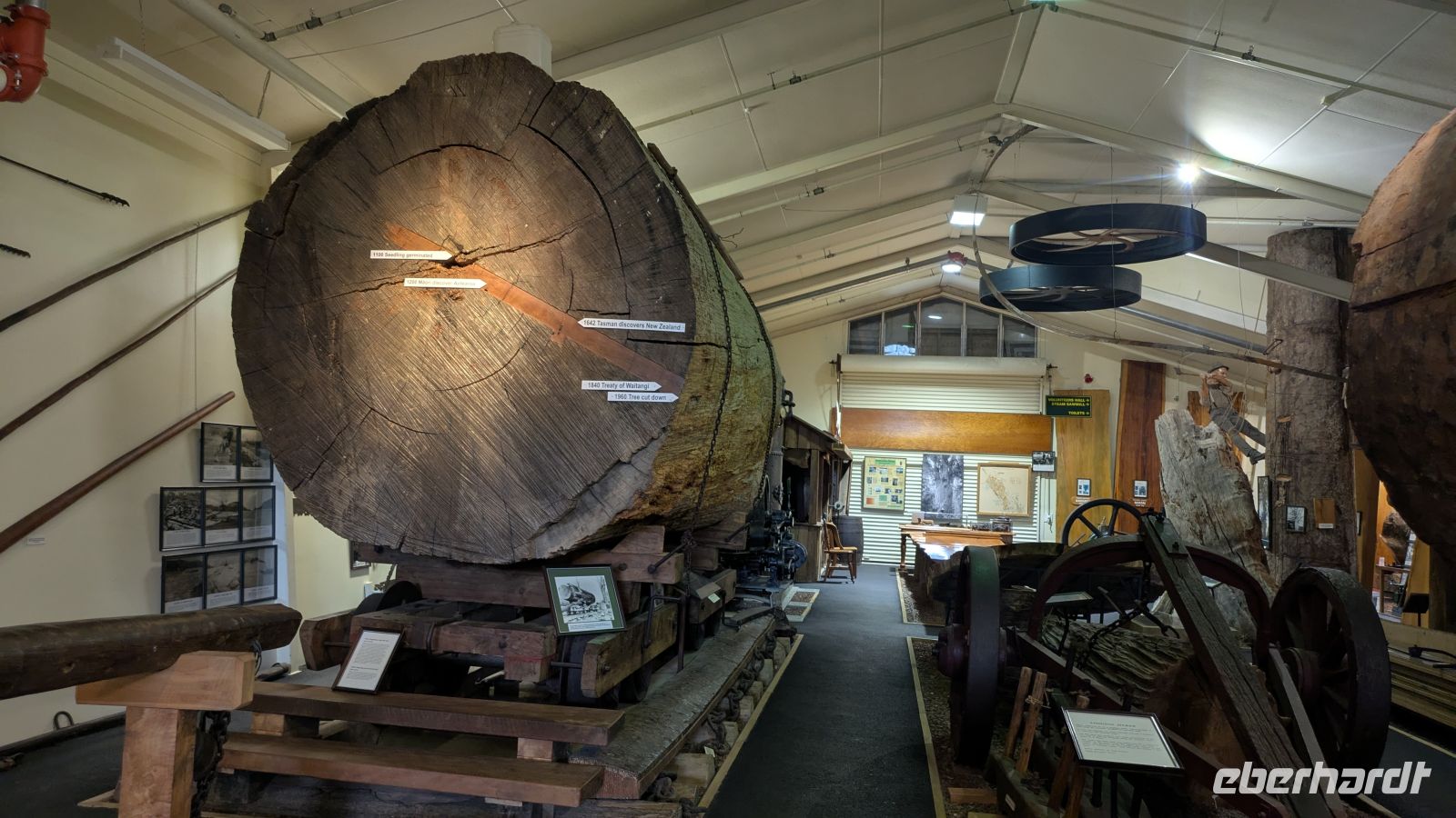 Kauri Museum 