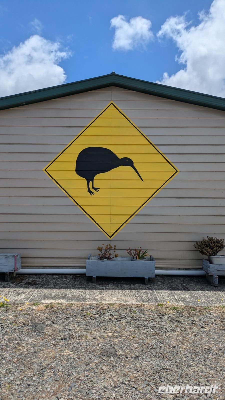 Kiwi Schild