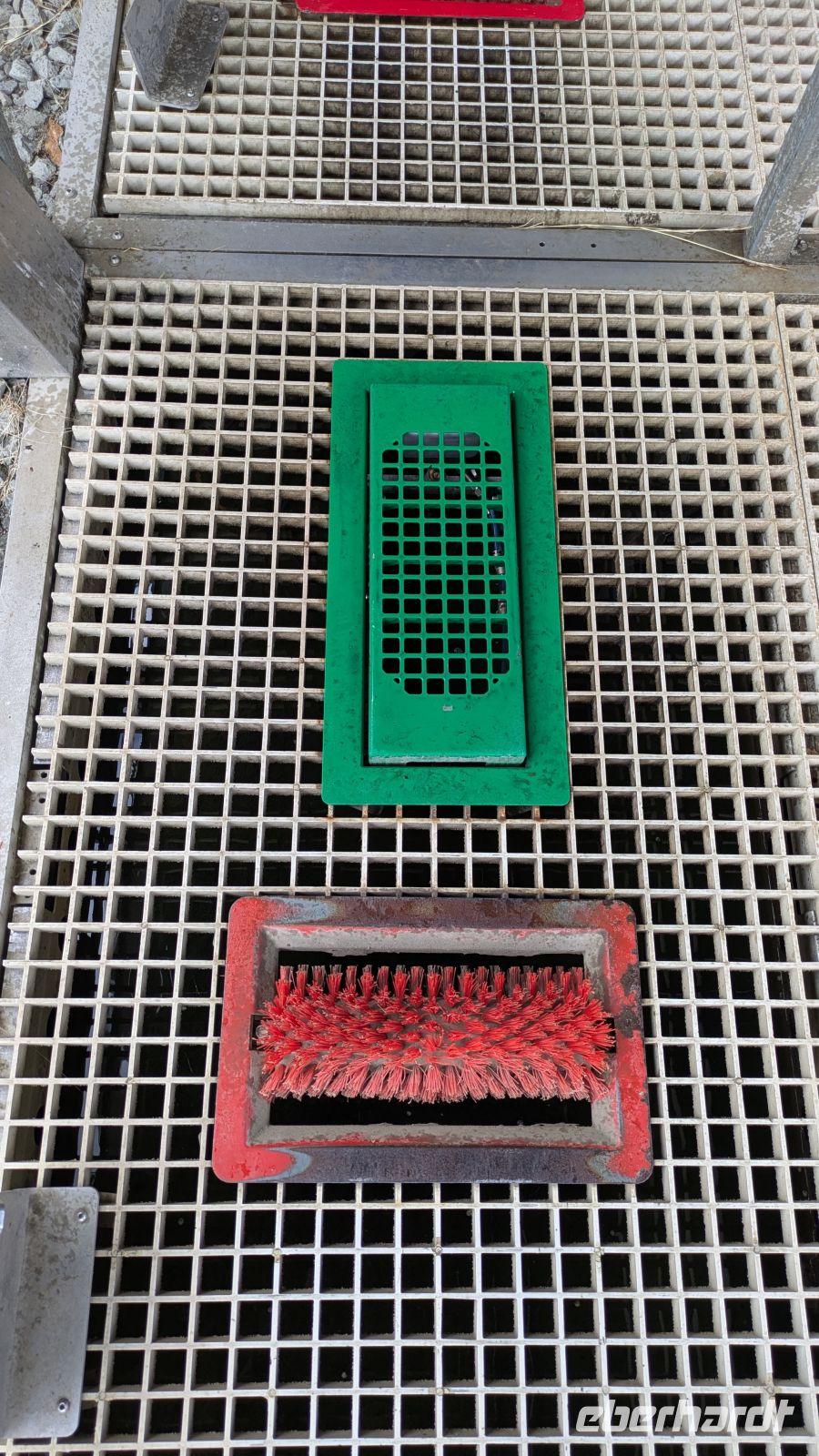 Desinfektionsspray zum Schutz der Bäume