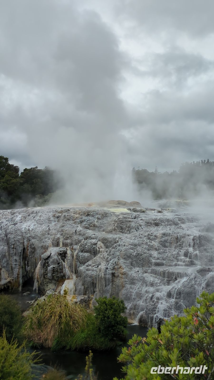 Pohutu Geyser, Te Puia