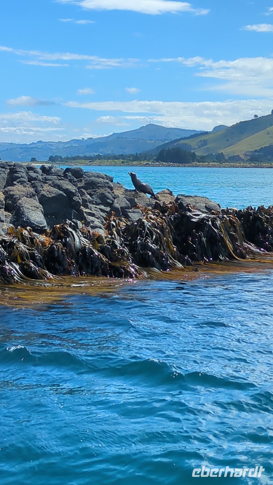 Bootsfahrt Wellers Rock