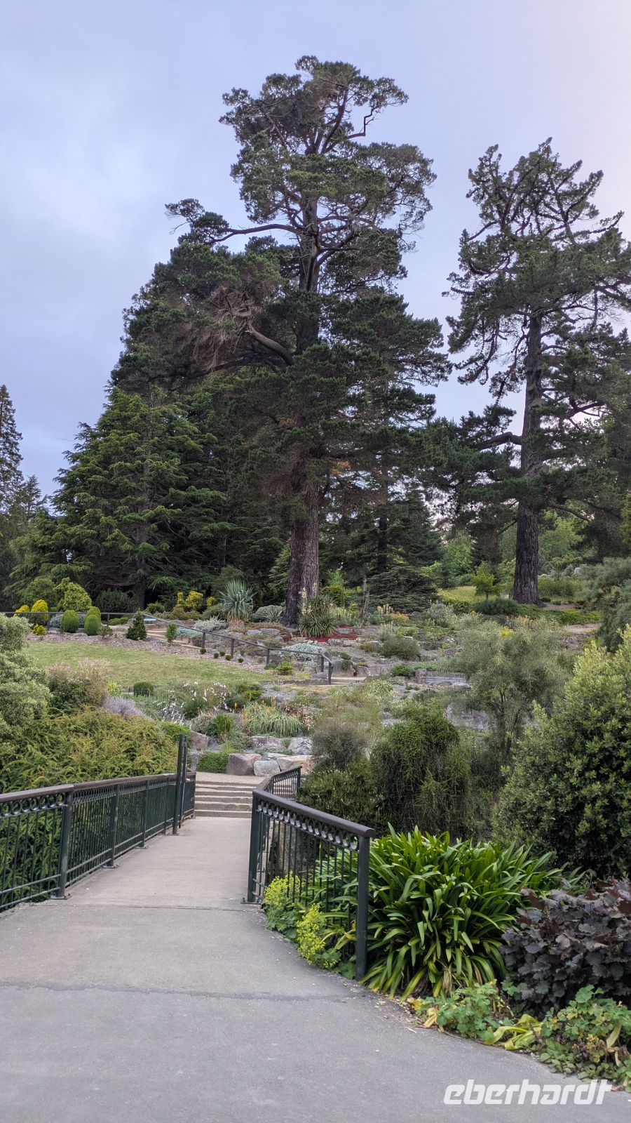 Botanischer Garten, Dunedin