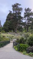 Botanischer Garten, Dunedin