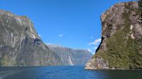 Milford Sound