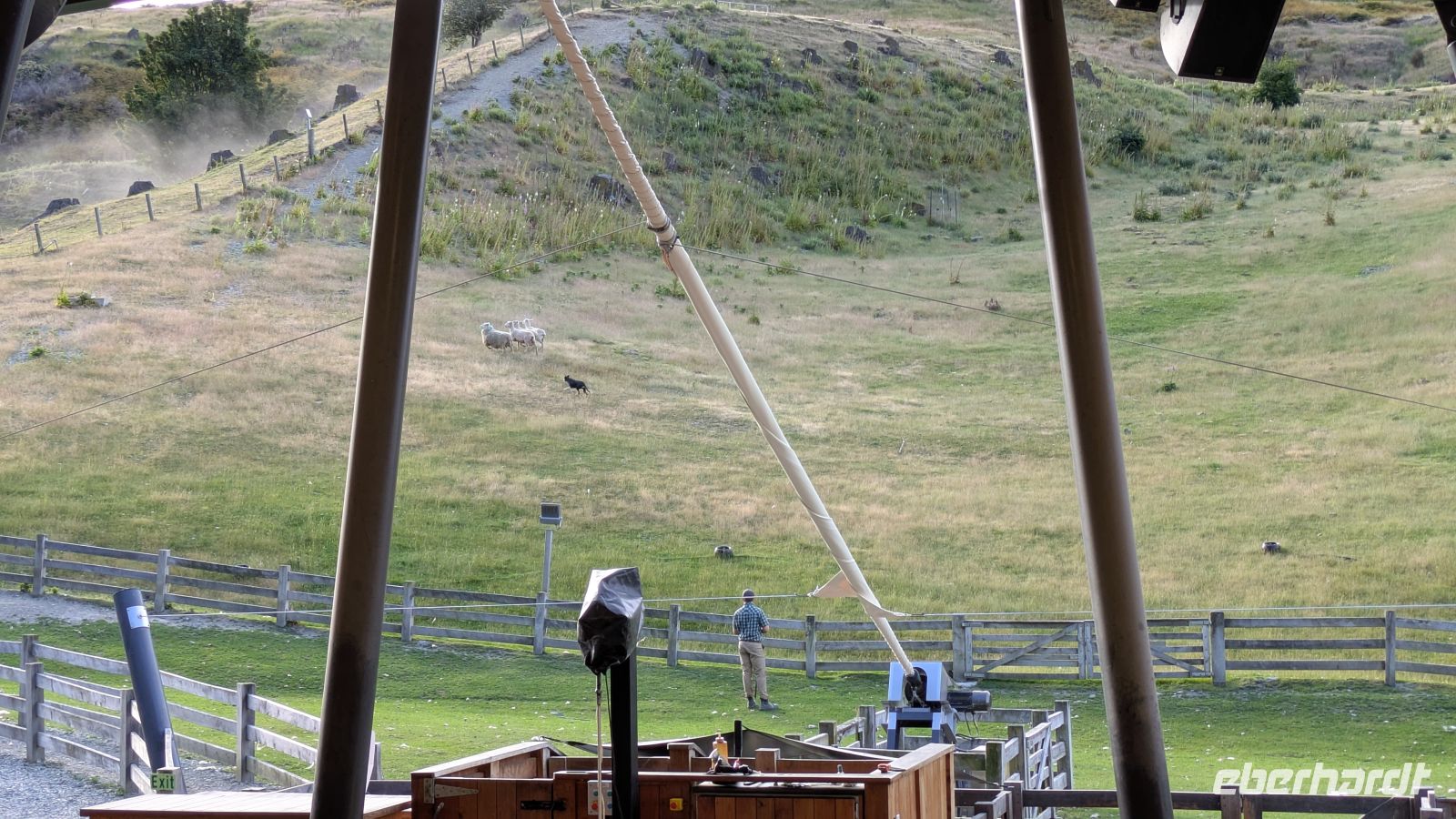 Walter Peak Farm - Schafshow