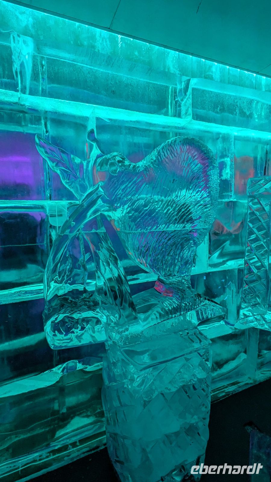 ICE Bar, Queenstown