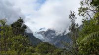 Franz-Josef-Gletscher