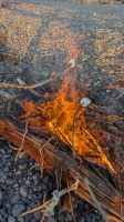Lagerfeuer mit Marshmallows am Strand