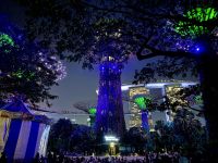 2. Tag: Ankunft in Singapur – Musik- und Lichtershow in den Gardens by the Bay