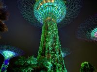 2. Tag: Ankunft in Singapur – Musik- und Lichtershow in den Gardens by the Bay