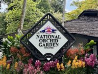 3. Tag: Stadtrundfahrt durch Singapur – Nationaler Orchideengarten im Botanischen Garten