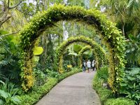 3. Tag: Stadtrundfahrt durch Singapur – Nationaler Orchideengarten im Botanischen Garten