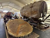 5. Tag: Auckland bis Paihia – Besuch des Kauri-Museums in Matakohe