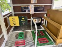 5. Tag: Auckland bis Paihia – Waipoua Kauri Forest – Station zur Desinfektion der Schuhe