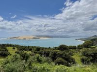 5. Tag: Auckland bis Paihia – Fotostopp am Pakia Hill Lookout bei Omapere