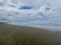6. Tag: Tagesausflug zum Cape Reinga – Aufenthalt am 90 Mile Beach