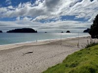 8. Tag: Coromandel-Halbinsel – Kurzer Stopp am Hahei Beach