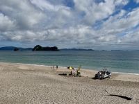 8. Tag: Coromandel-Halbinsel – Kurzer Stopp am Hahei Beach