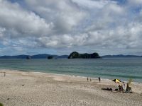 8. Tag: Coromandel-Halbinsel – Kurzer Stopp am Hahei Beach