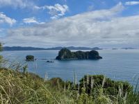 8. Tag: Coromandel-Halbinsel – Fotostopp bei Hahei