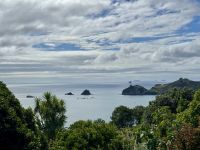 8. Tag: Coromandel-Halbinsel – Fotostopp bei Hahei