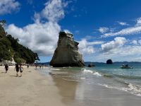 8. Tag: Coromandel-Halbinsel – Cathedral Cove