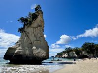 8. Tag: Coromandel-Halbinsel – Cathedral Cove
