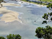 8. Tag: Coromandel-Halbinsel – Aufstieg auf den Mt Paku bei Tairua