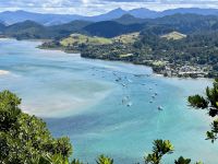 8. Tag: Coromandel-Halbinsel – Aufstieg auf den Mt Paku bei Tairua