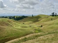 9. Tag: Pauanui bis Rotorua – Fotostopp bei Matamata