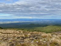 11. Tag: Tongariro-Nationalpark bis Wellington – Abstecher in Richtung Mount Ruapehu
