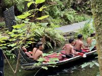 9. Tag: Pauanui bis Rotorua – Traditionelles Hangi-Abendessen in Rotorua – Kriegskanu