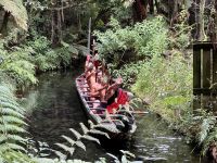 9. Tag: Pauanui bis Rotorua – Traditionelles Hangi-Abendessen in Rotorua – Kriegskanu