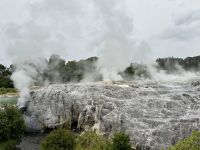 10. Tag: Rotorua bis Tongariro-Nationalpark – Besuch von „Te Puia“ in Rotorua – Warten auf den Geysir